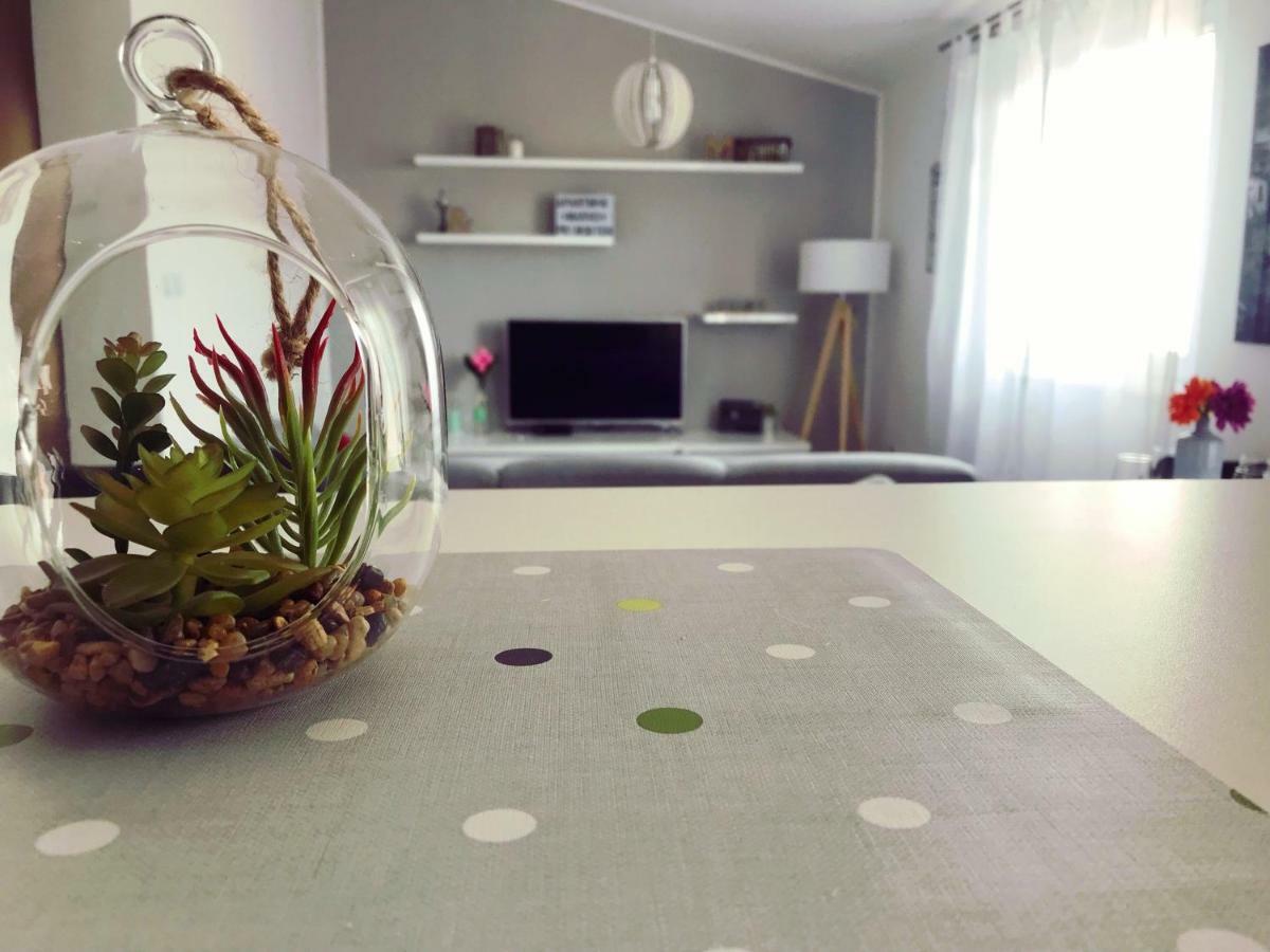 Apartman Marko Primošten Dış mekan fotoğraf